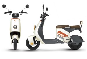 Skuter elektryczny Cedrus by Luyuan C-GO-2W-ZQQ2 35 km/h  biały