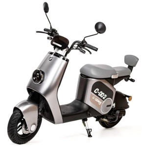 Skuter elektryczny Cedrus by Luyuan C-GO-2G-ZQQ2 35 km/h  szary