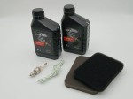 Pakiet serwisowy do agregatu PEZAL PGG8000 PGG11000 HAHN&SOHN HGG8000 HGG11000